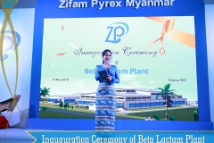 29
