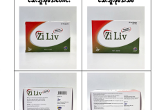 Ziliv_Old_New_Pack_01