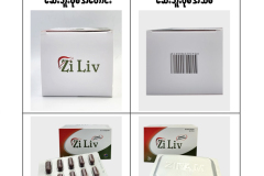 Ziliv_Old_New_Pack_03