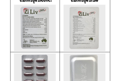 Ziliv_Old_New_Pack_04