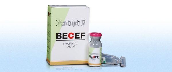 Bectacef Injectable Becef - 1g vial / 2,630Kyats/ Zifam Myanmar